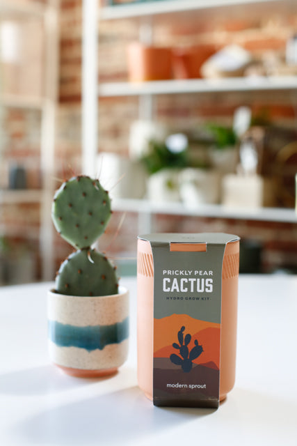 Prickly Pear Cactus Grow Kit