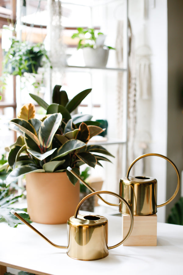 Golden Watering Can - SALE