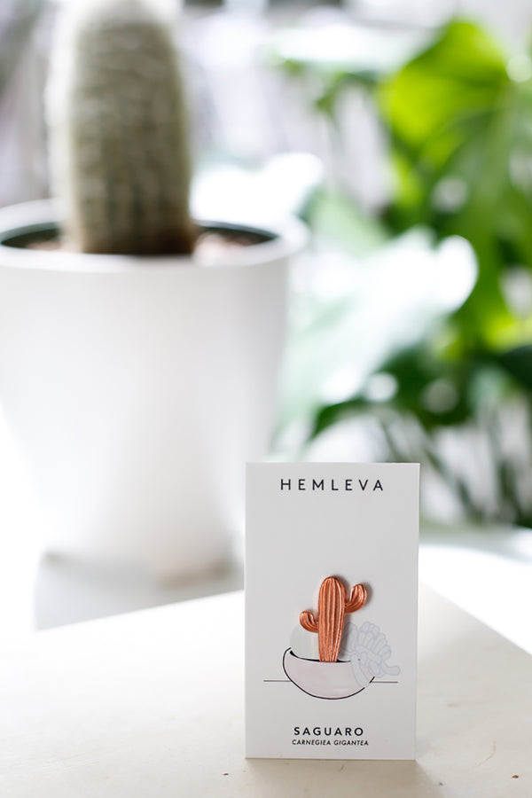 Rose Gold Cactus Pin