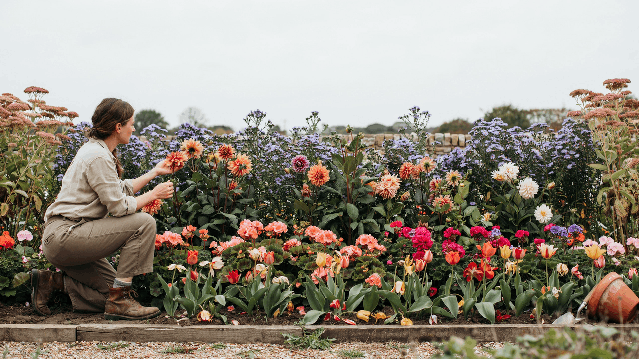 Layered mixed garden border with seasonal flowers blooming in stages from spring bulbs to autumn perennials.