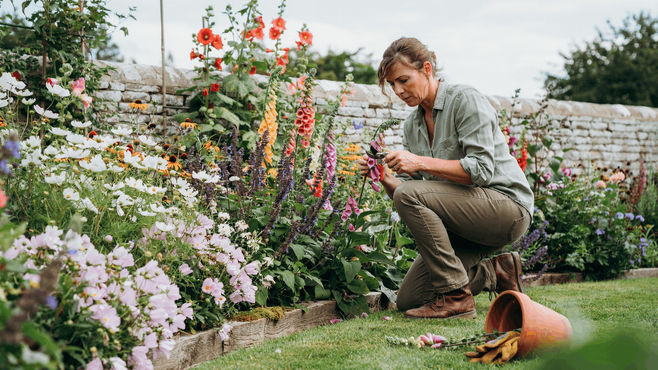 Dense cottage garden border with overflowing flowers and layered planting spilling over curved edges.
