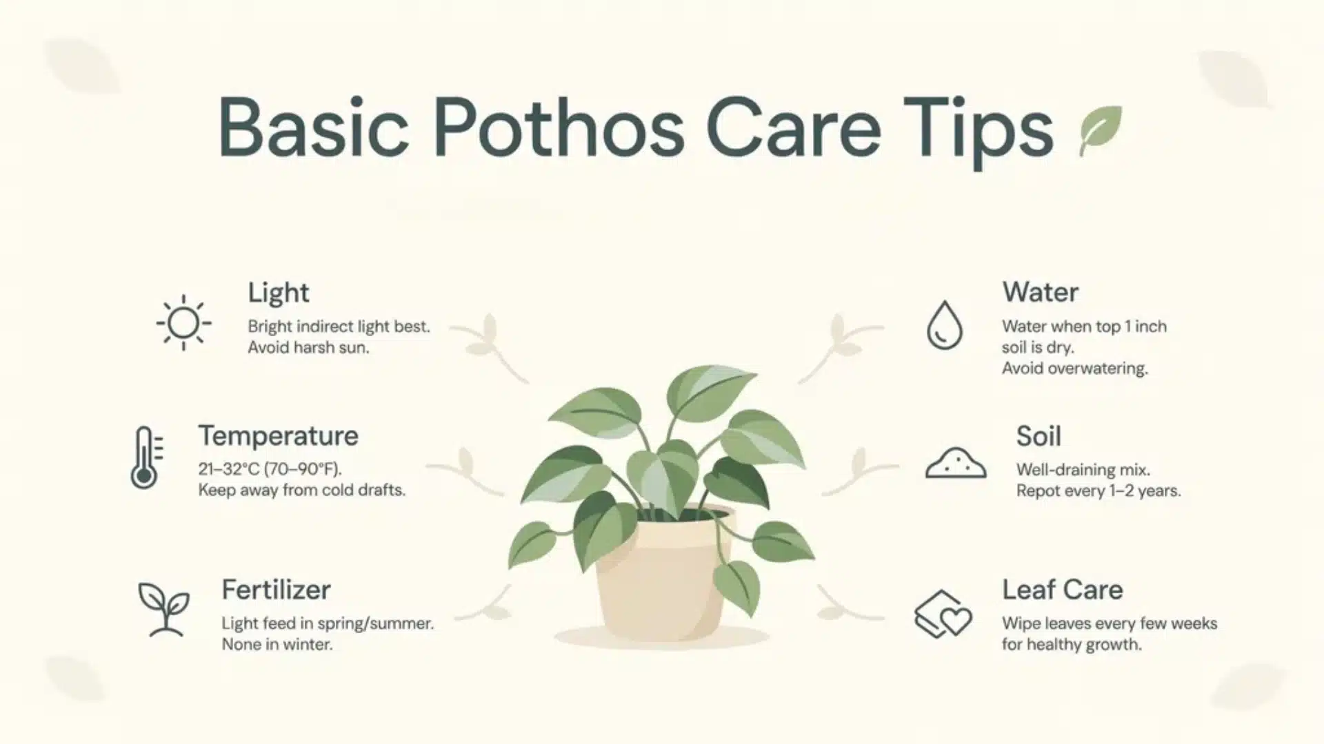 A minimal guide infographic showing a potted pothos plant surrounded by care instructions for light, water, temperature, soil, fertilizer, and leaf maintenance.