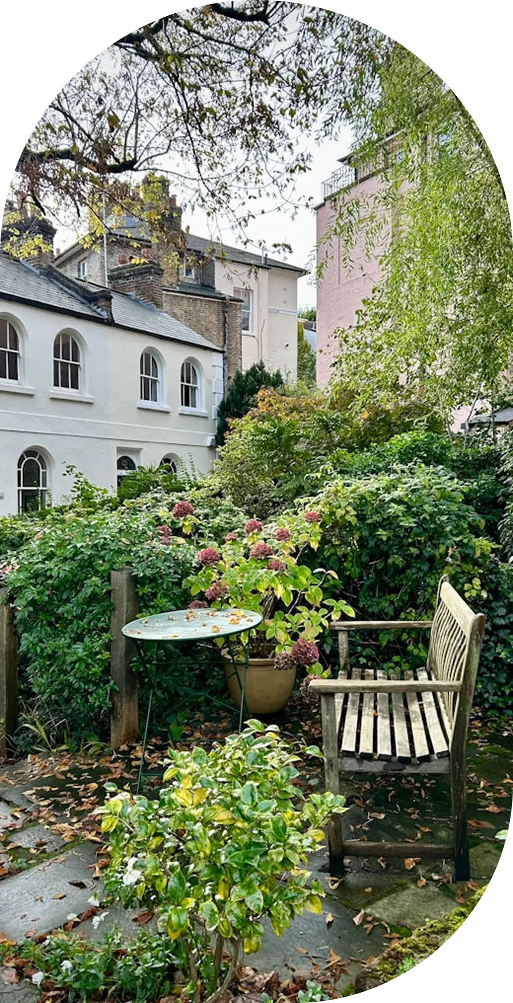 garden