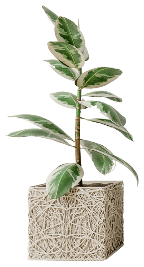 square-pot