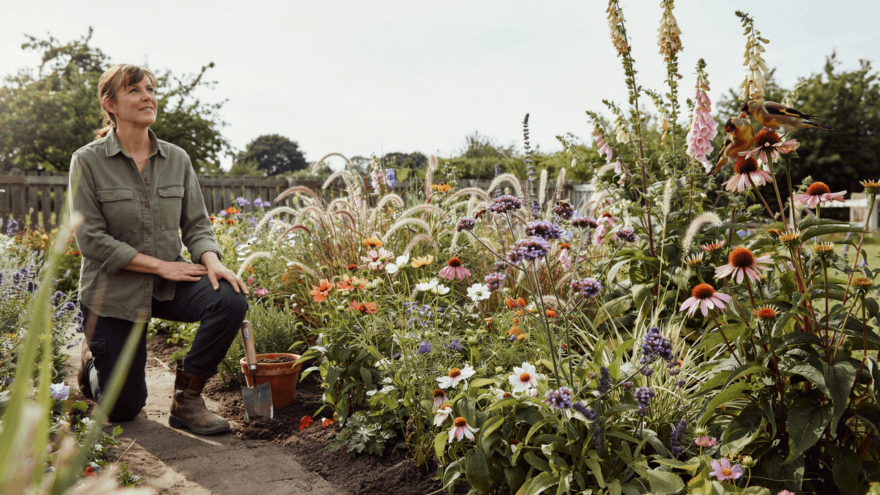 Wildlife garden border with native flowers, seed heads, and pollinators like bees and butterflies active.